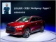 トヨタは世界最大市場で敗北か、中国の民族系自動車メーカーが躍進の理由