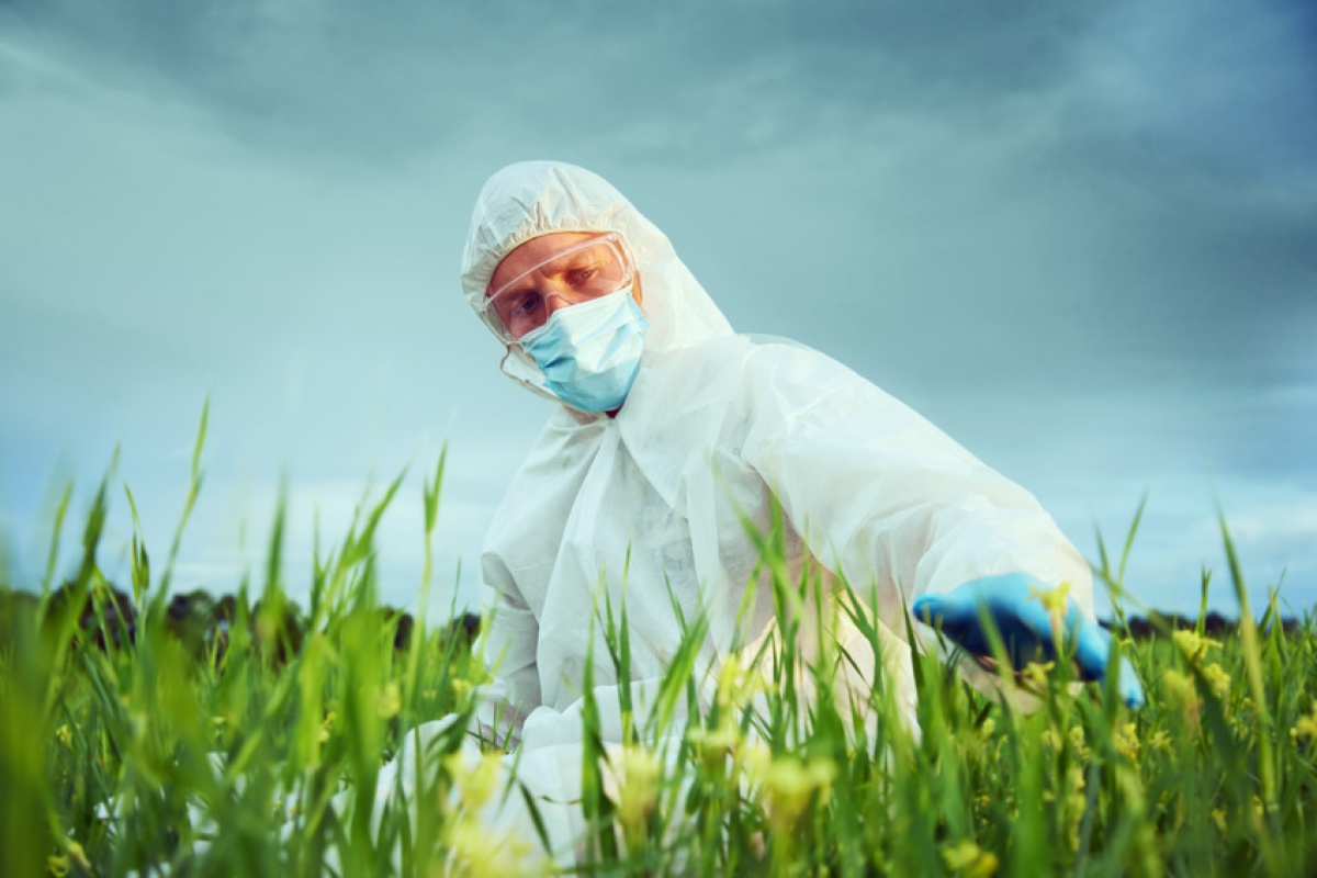 遺伝子組み換え作物と除草剤 実はセット という深い闇 バイエルとモンサントのビジネスモデルとは ビジネス It