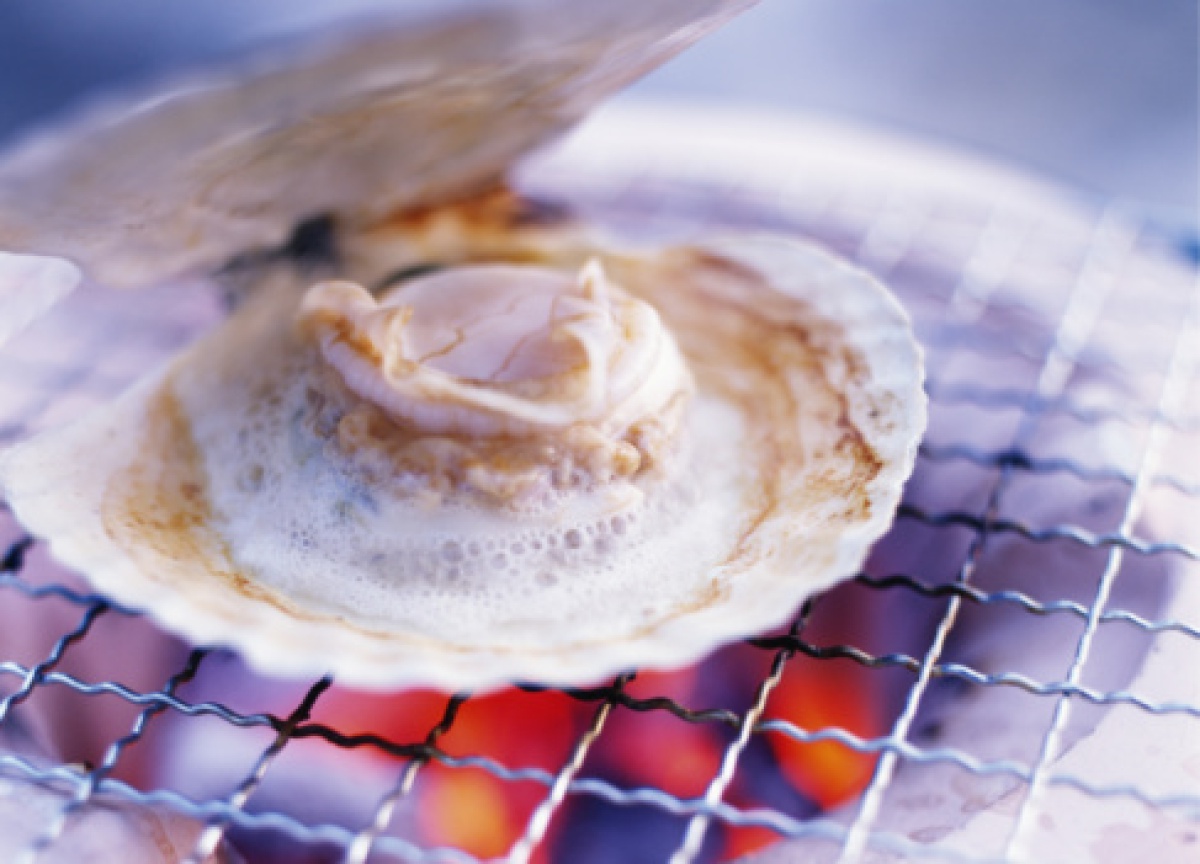 貝殻が地球を救う 日本人が最も食べる貝 ホタテとカキ に熱視線 ビジネス It
